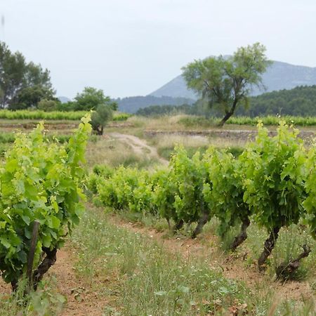 La Maison De Campagne Carcès Exteriör bild