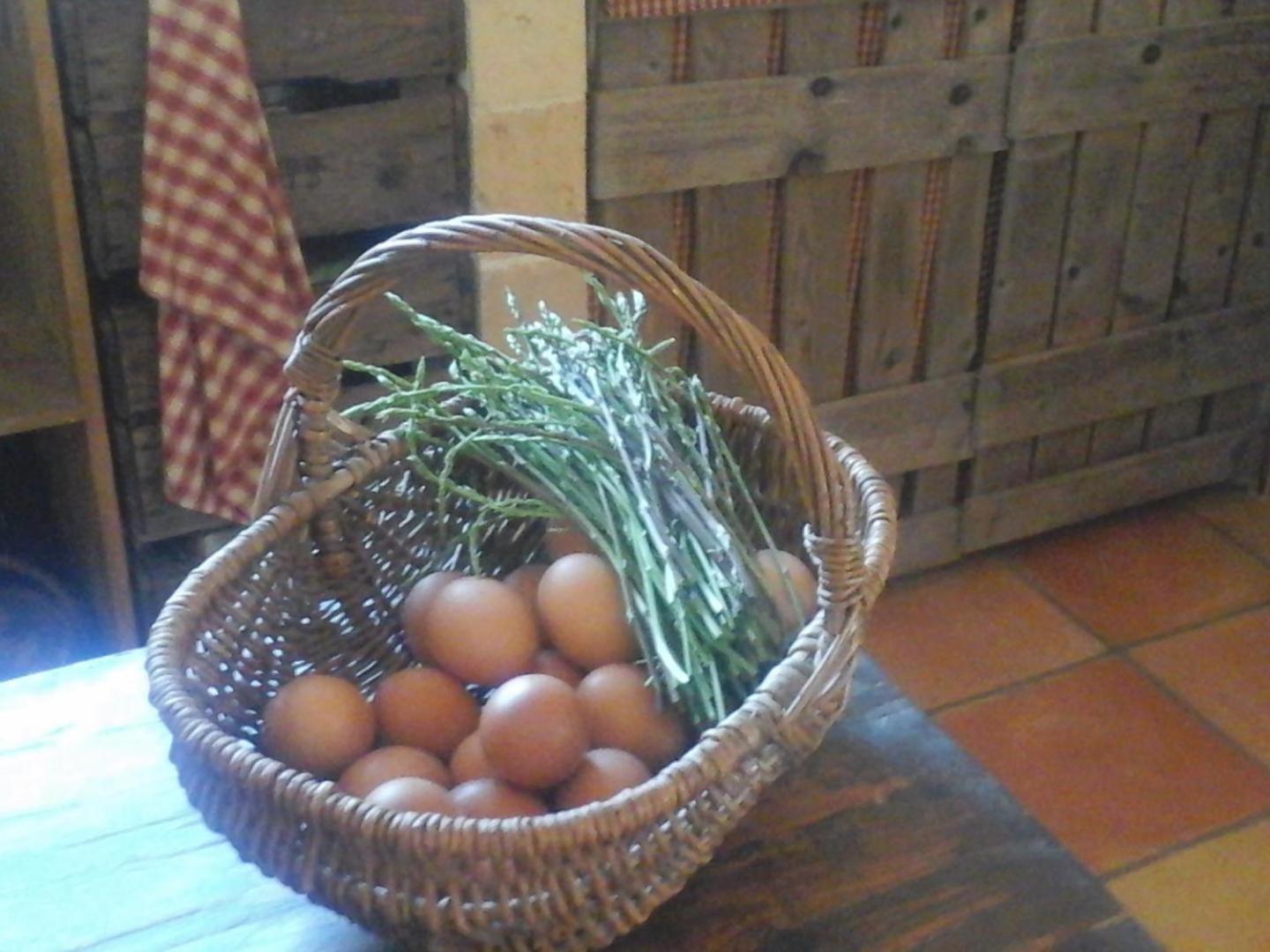 La Maison De Campagne Carcès Exteriör bild
